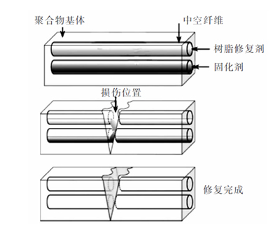 中空纖維自修複過(guò)程