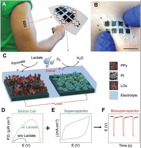 一款雙功能(néng)、可伸縮、可穿戴的超級電容器，能(néng)夠利用汗液收集能(néng)量